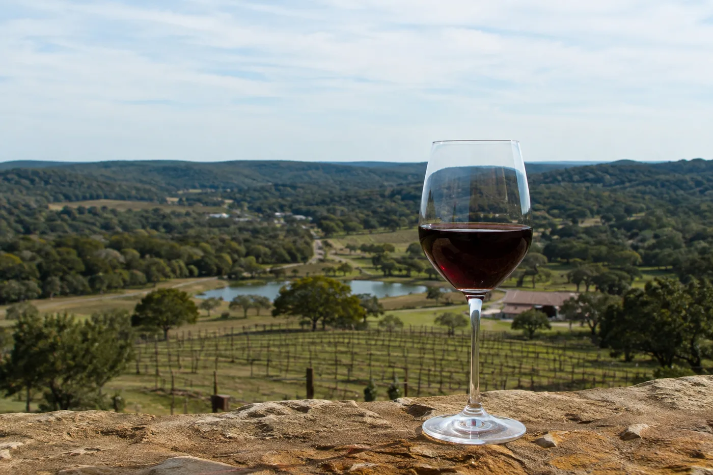A glass of Texas red overlooking Hill Country vineyards - most of what is in the glass began on the High Plains