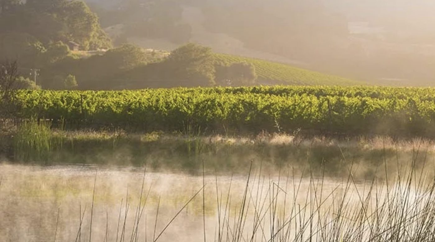 Mendocino County wine country