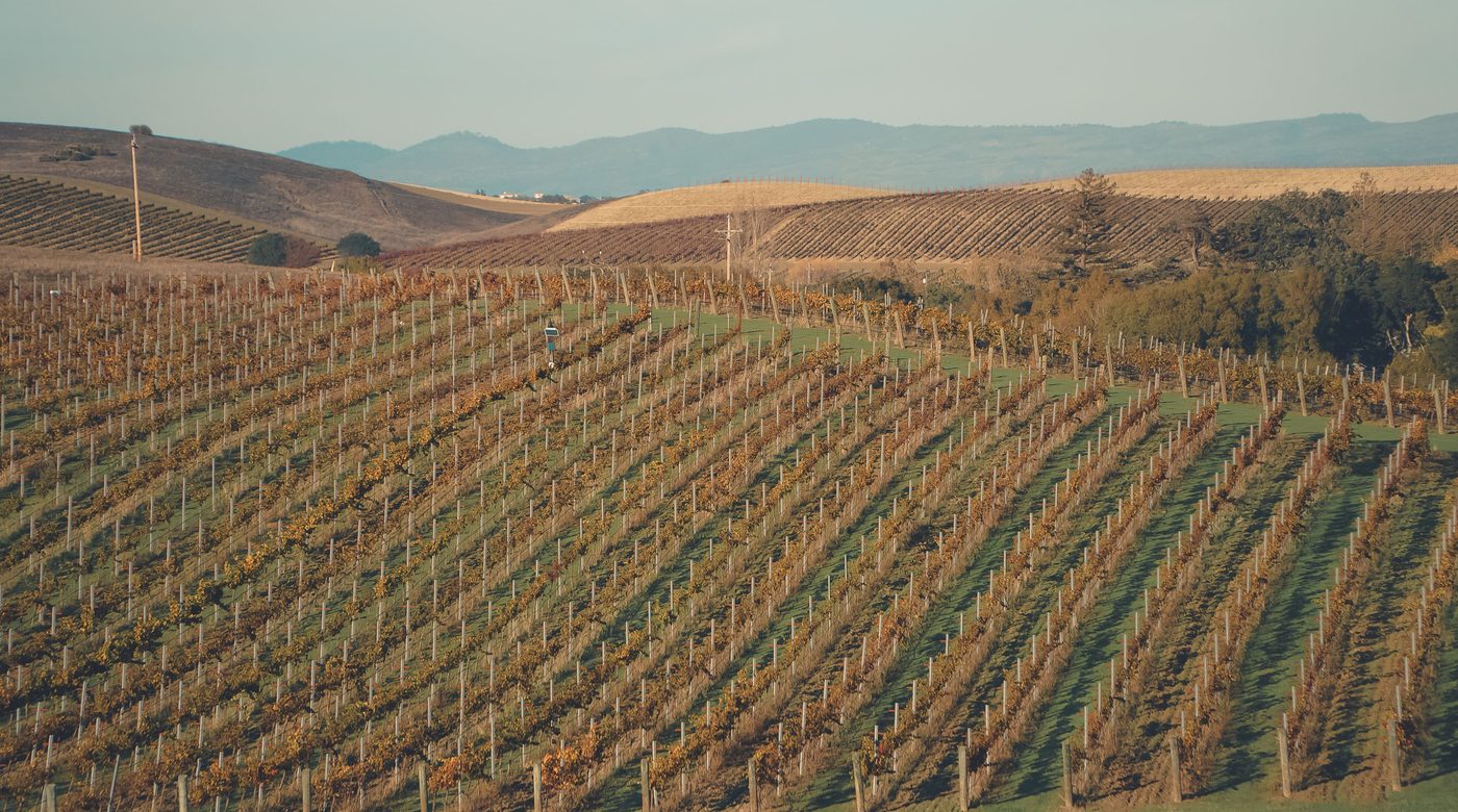 Bay Area wine country