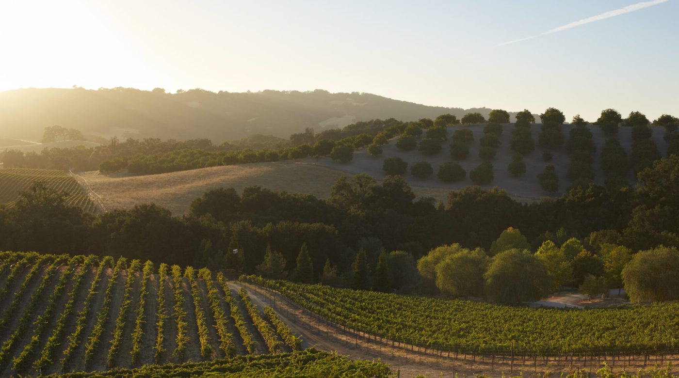 Paso Robles wine country