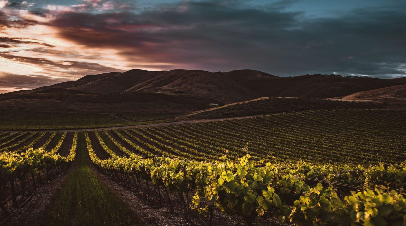 Santa Barbara wine country