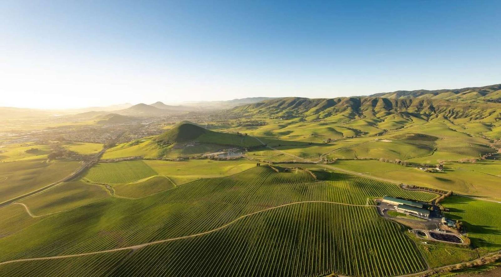 slo coast vineyard landscape